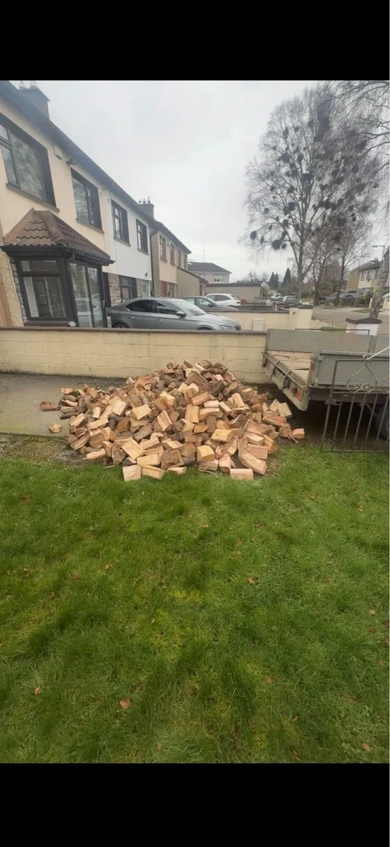 Hardwood firewood - Image 2