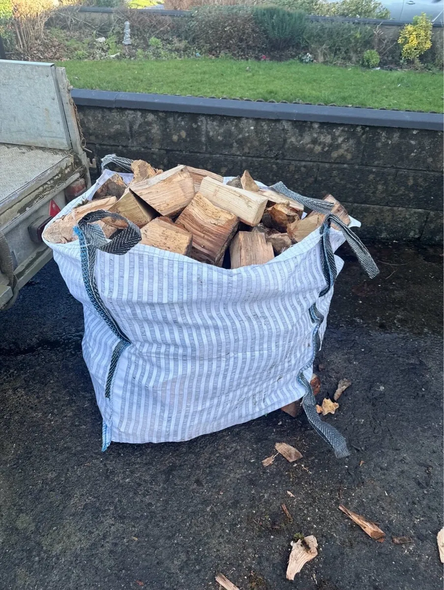 Hardwood firewood - Image 3