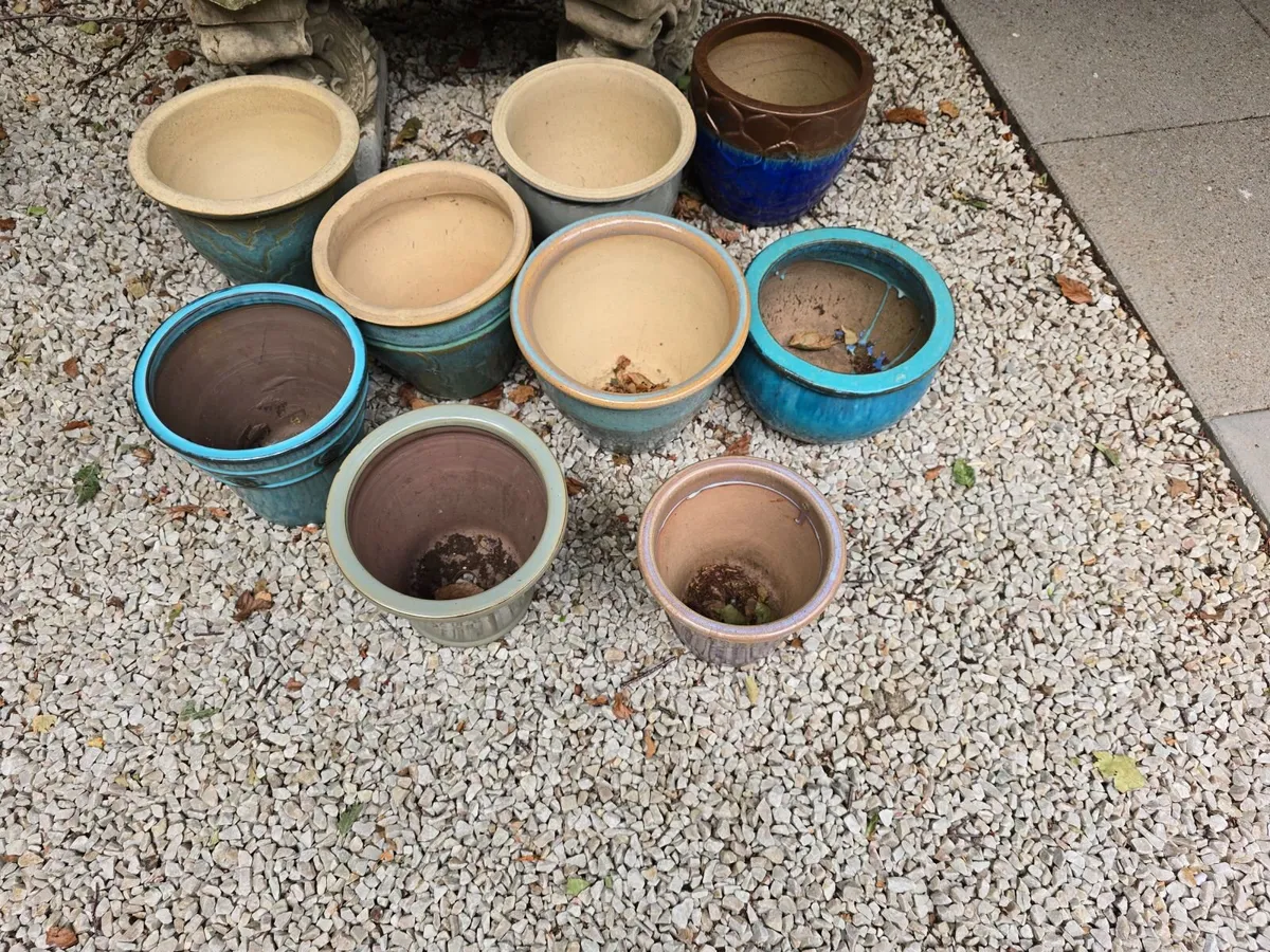 Selection of 12 Garden Flowerpots - Image 1