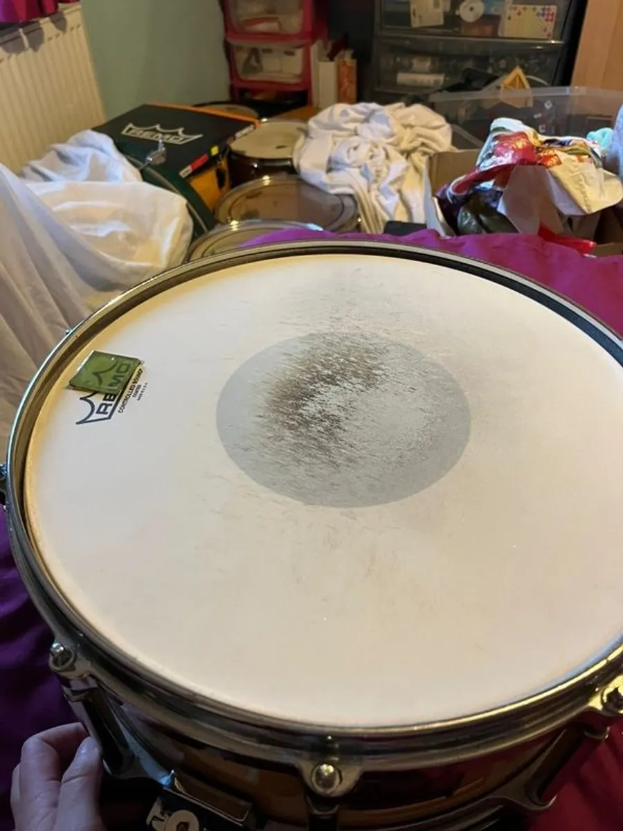 Pearl Free Floater Maple 14" x 6.5" snare drum - Image 1