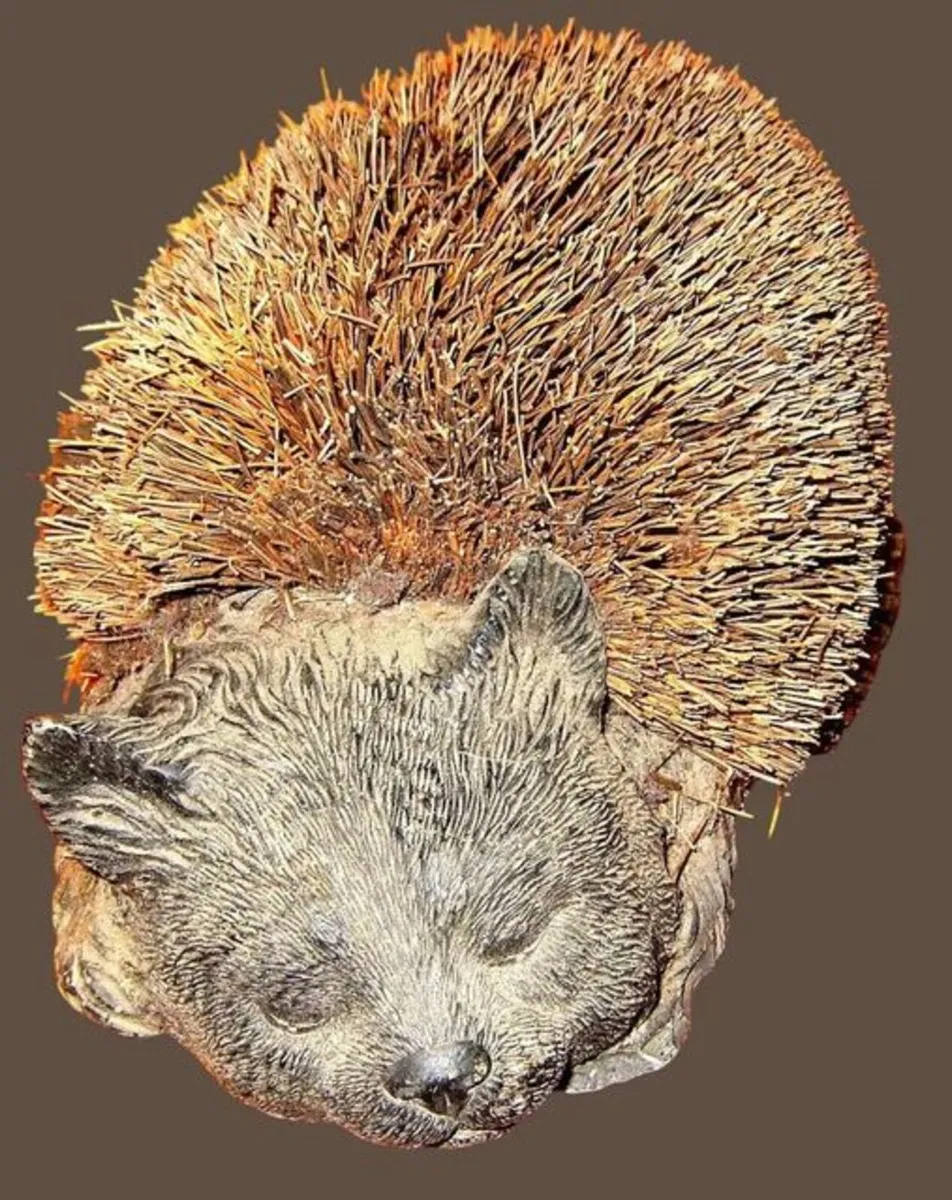 Vintage Boot Scraper/Shoe Brush - Image 2
