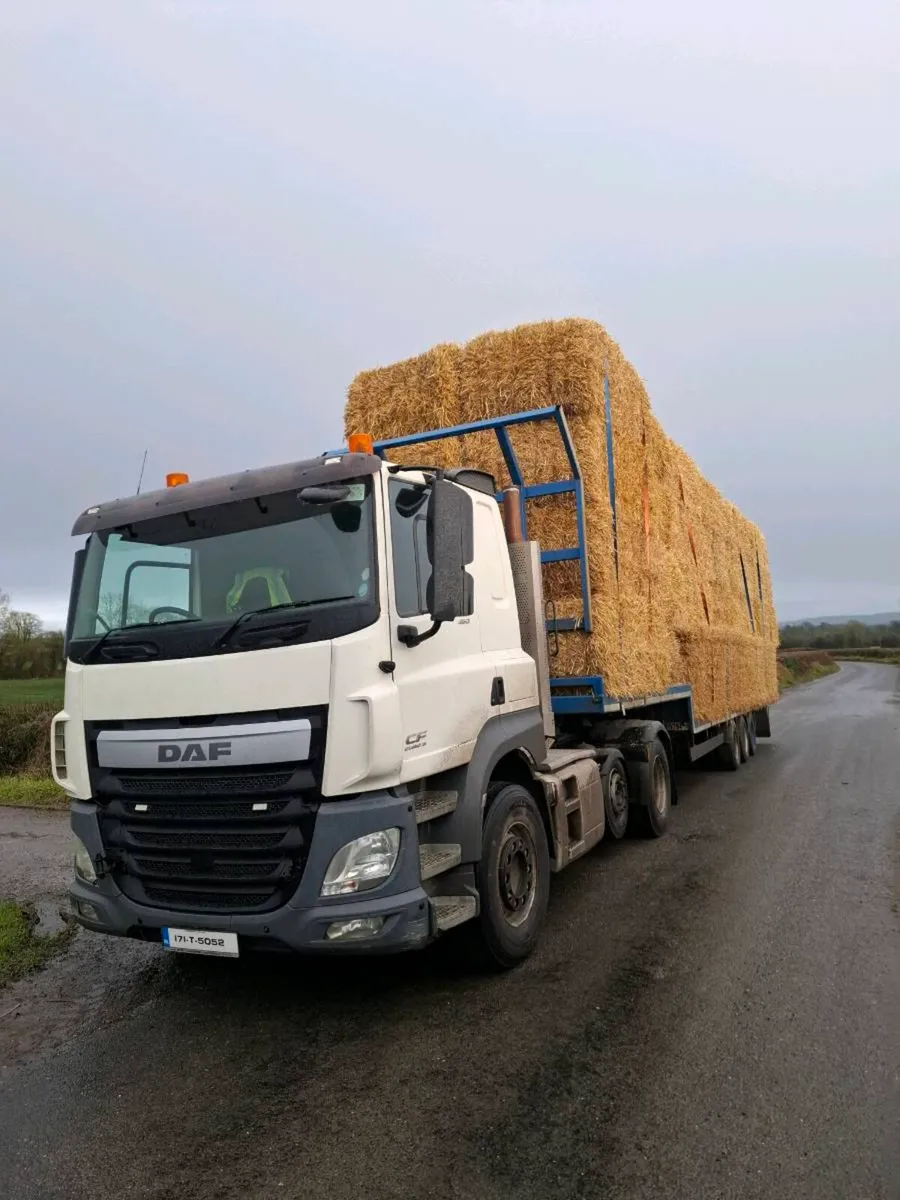 Barley and wheat straw - Image 1
