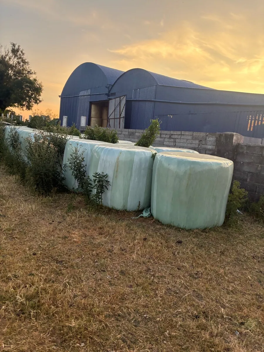 Haylage