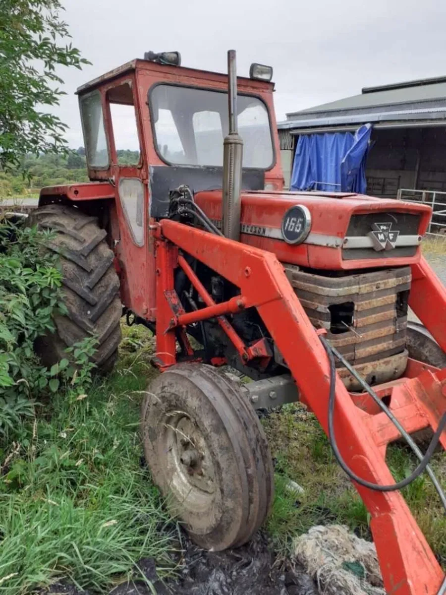 165 Massey Ferguson - Image 2