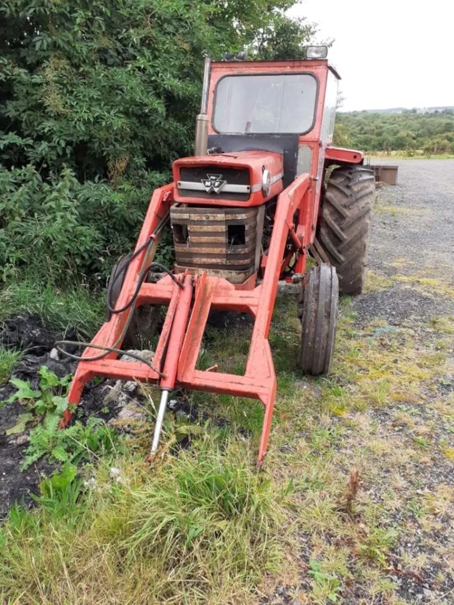 165 Massey Ferguson - Image 4