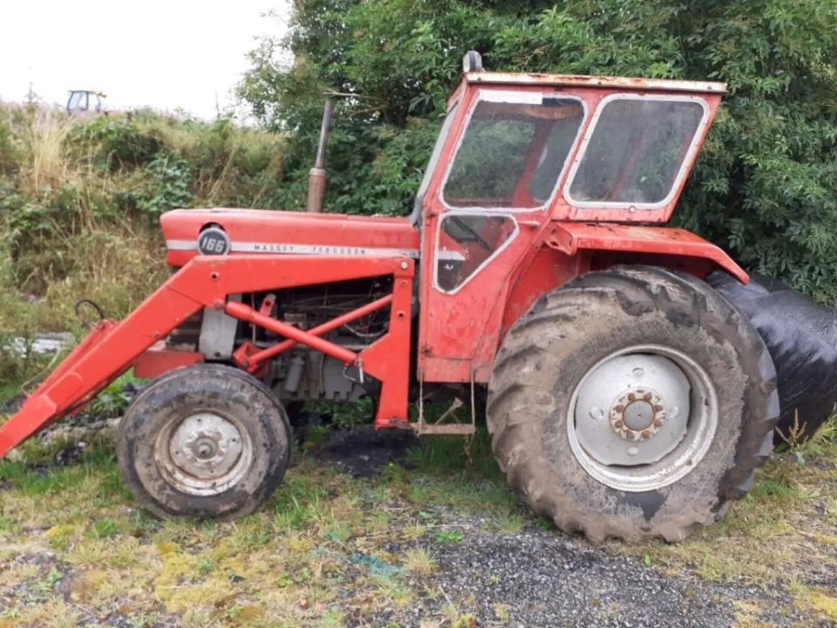 165 Massey Ferguson - Image 1