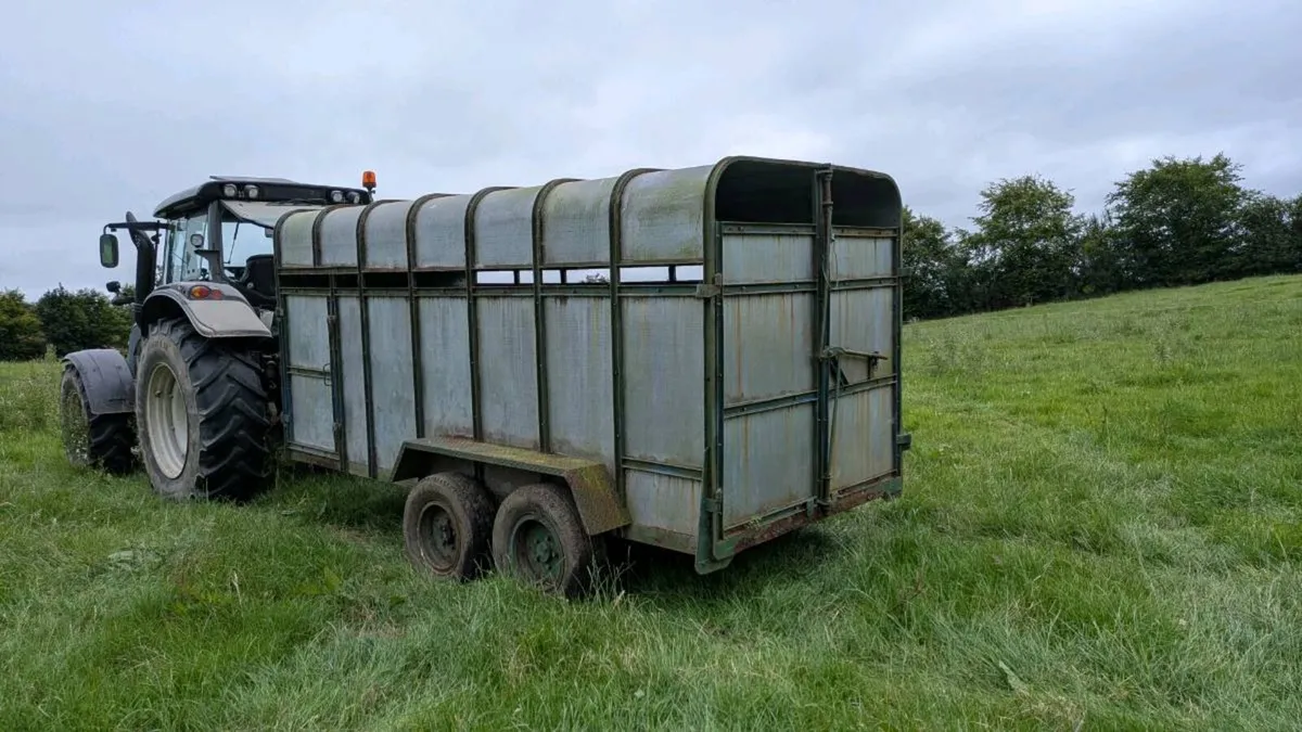 Cattle Trailer - Image 3