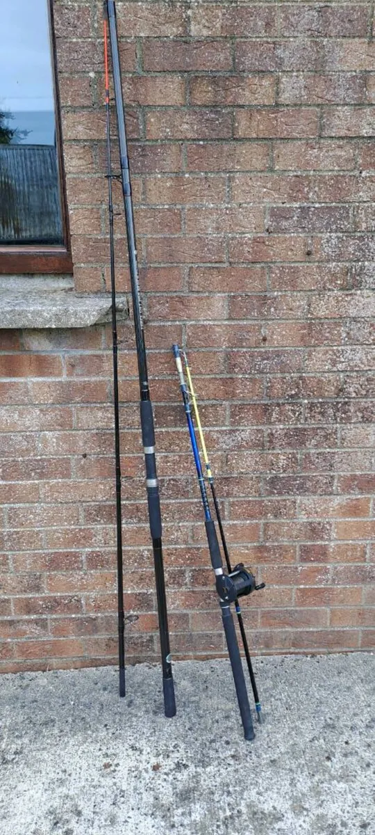 Sea fishing rods