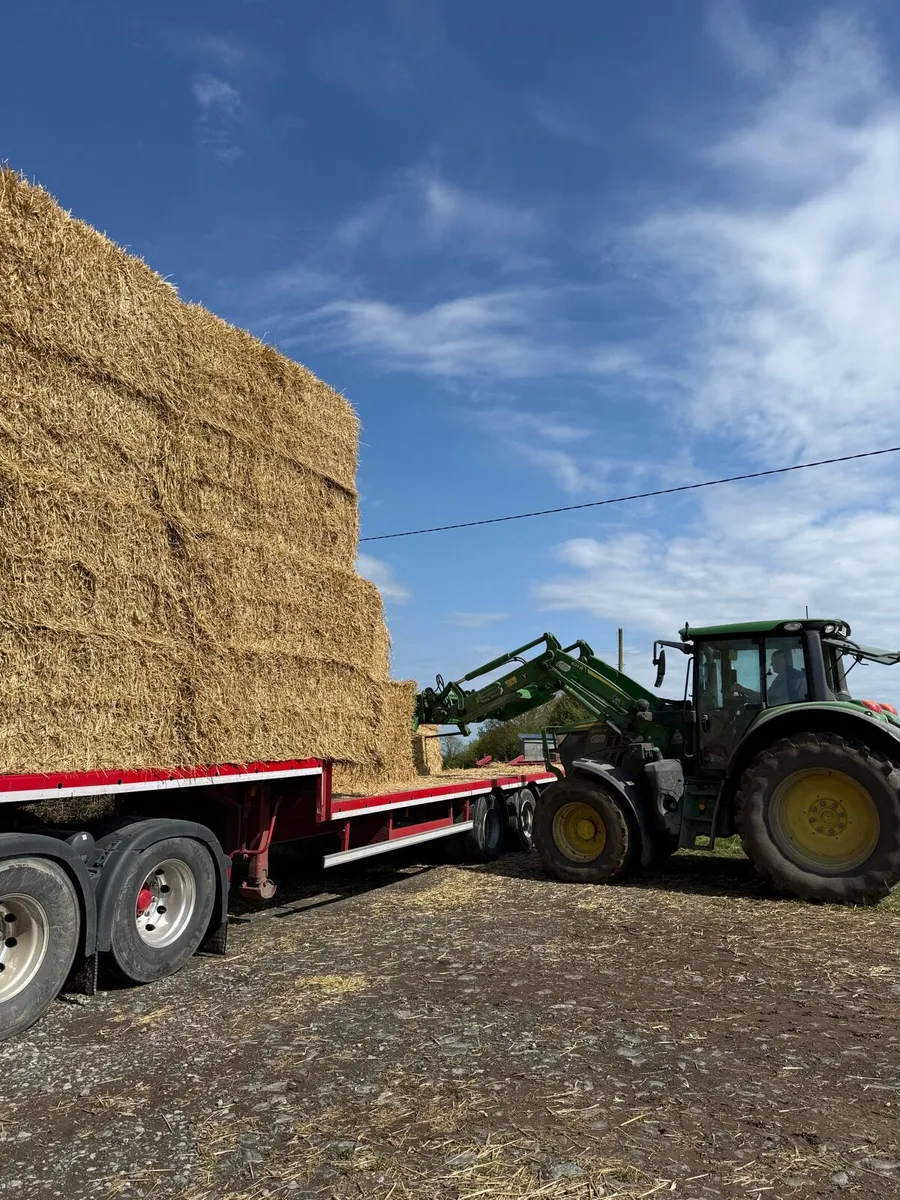 8x4x3 wheaten straw - Image 1