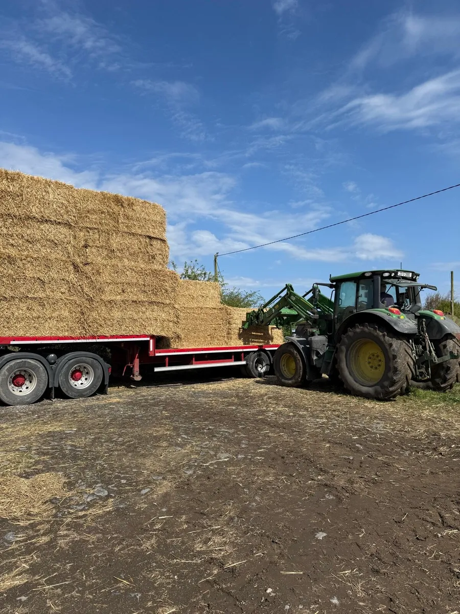 8x4x3 wheaten straw - Image 3