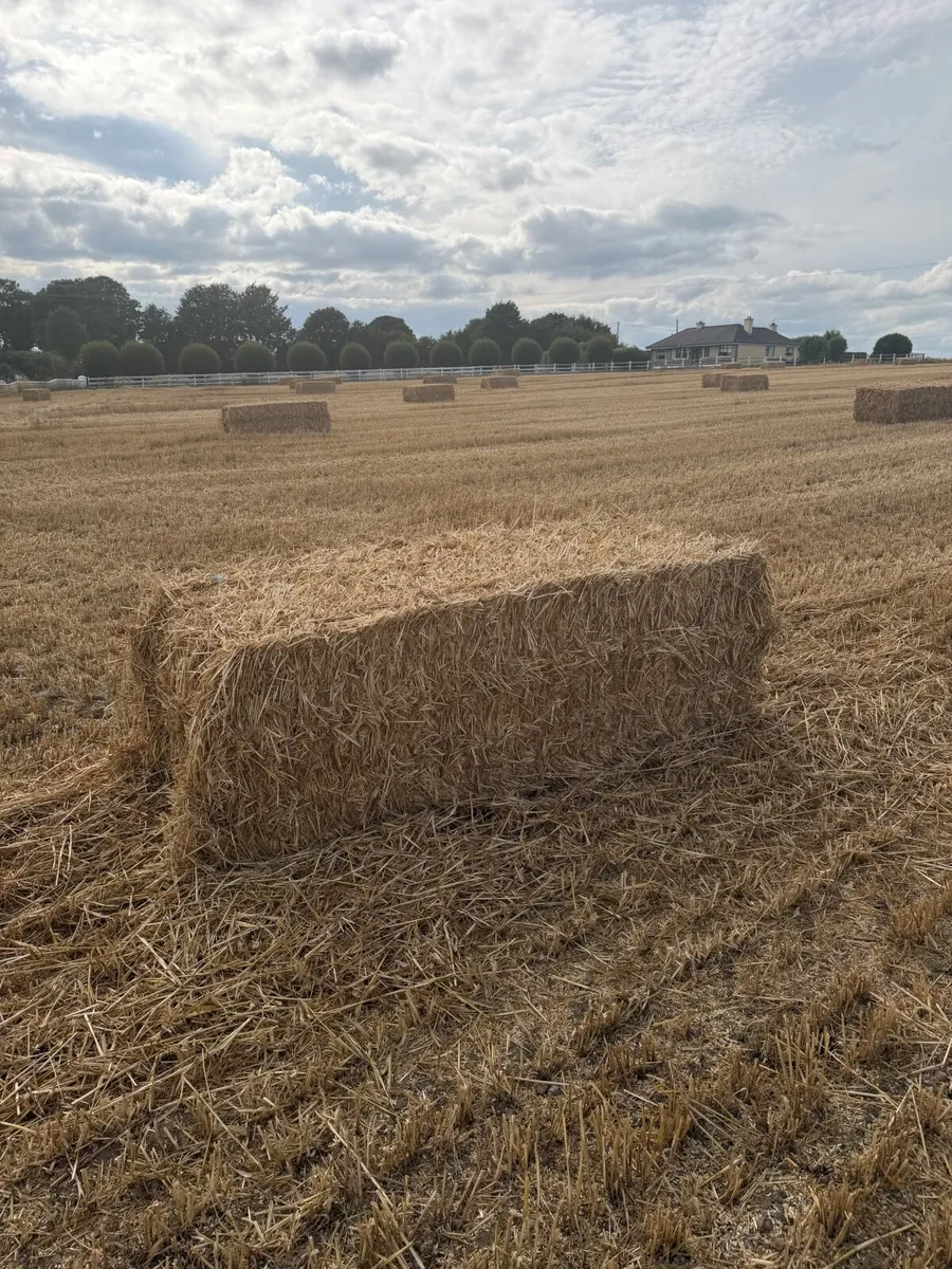 Straw - Image 2