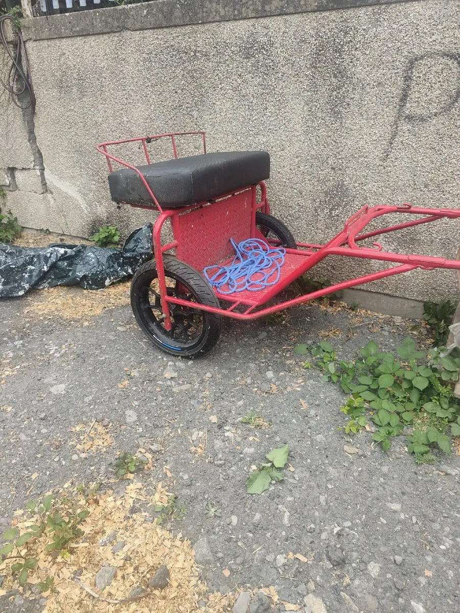 Horse cart - Image 1