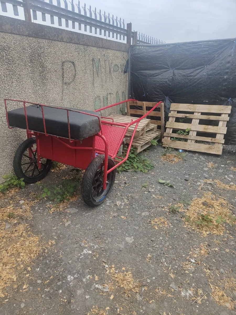 Horse cart - Image 3
