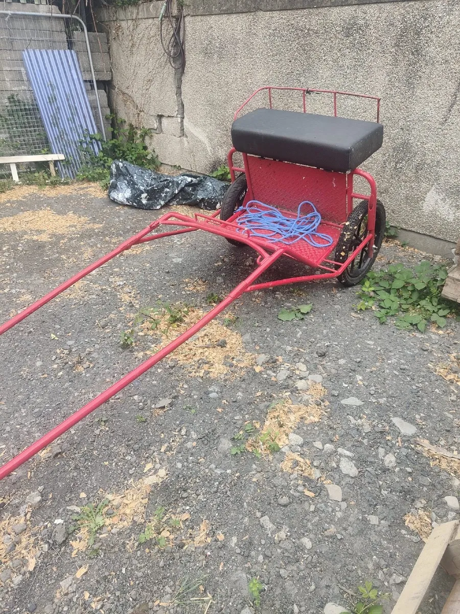 Horse cart - Image 4
