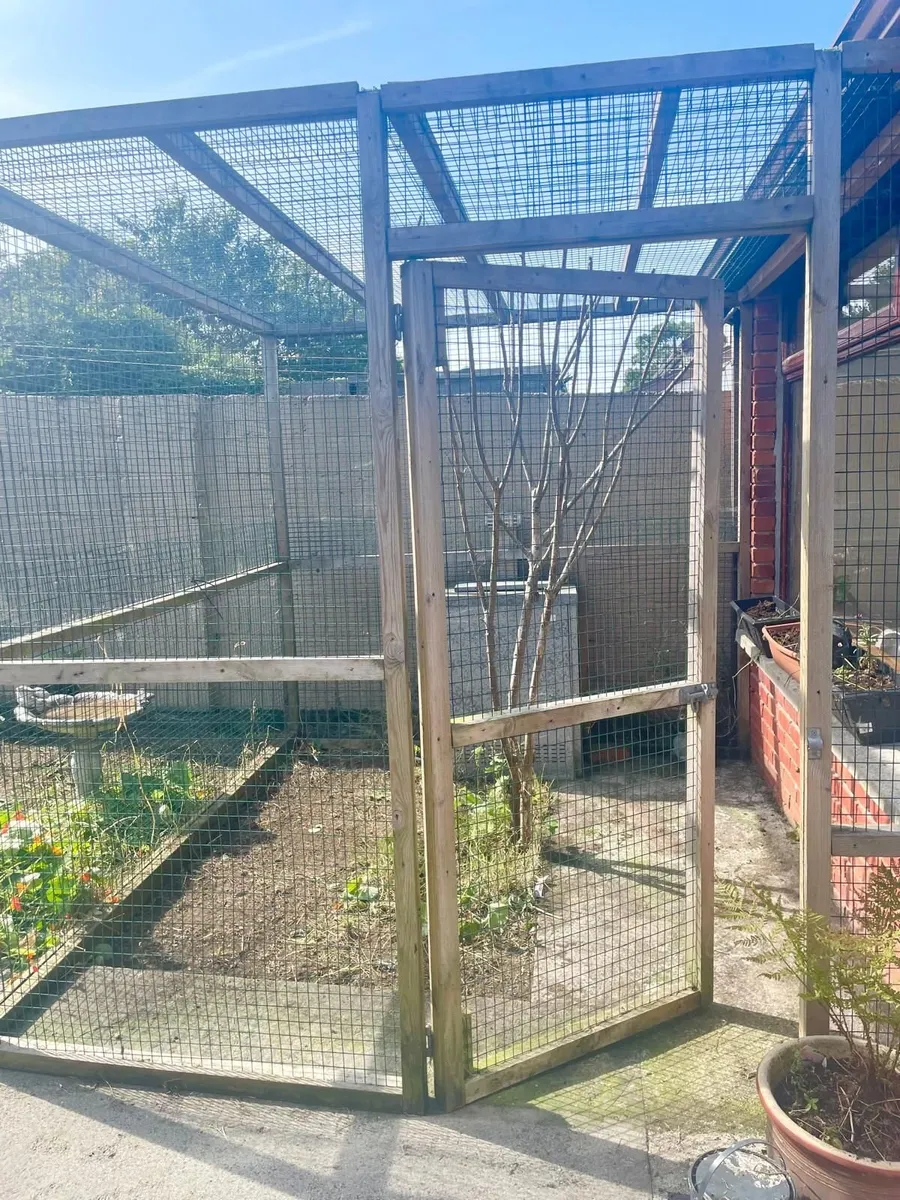 Cat/Pet enclosure - Image 1