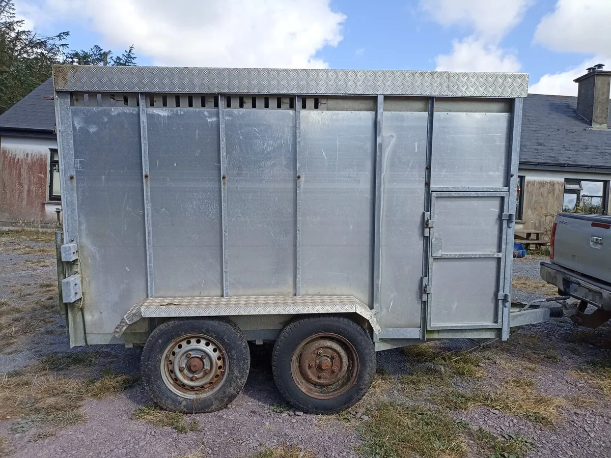 Cattle/bull trailer - Image 4