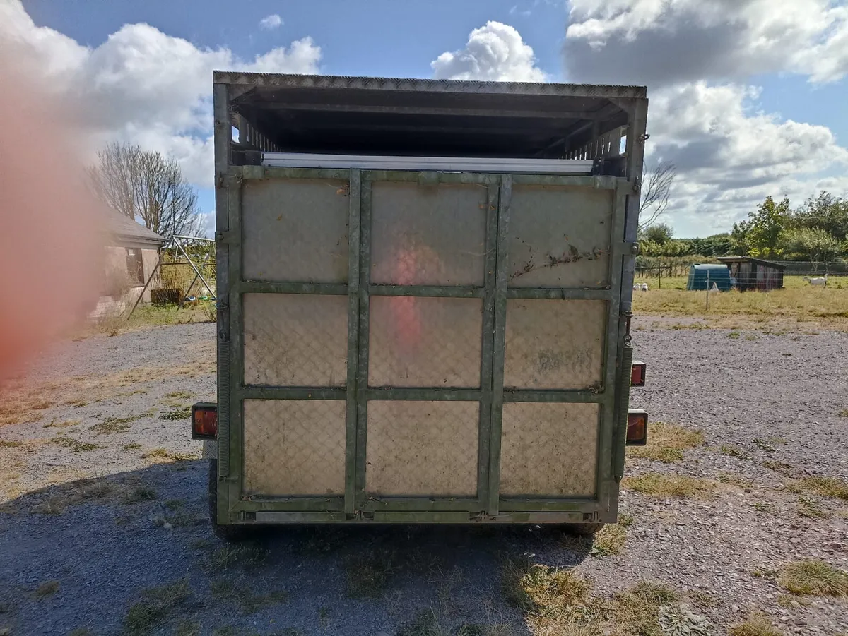 Cattle/bull trailer - Image 2