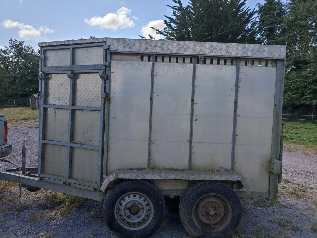 Cattle/bull trailer - Image 3