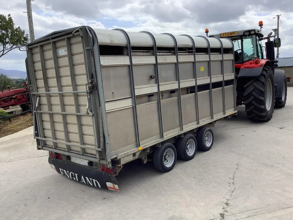 Ifor Williams Cattle Trailer - Image 4