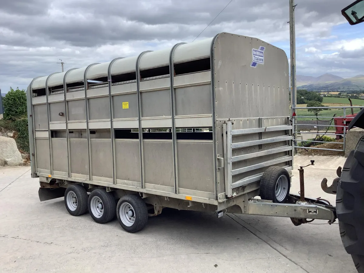 Ifor Williams Cattle Trailer - Image 2
