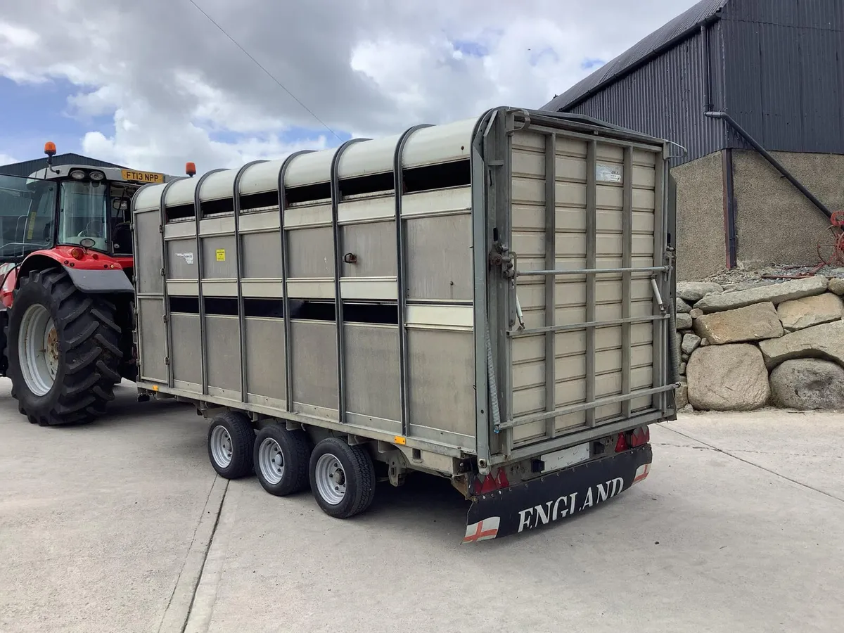 Ifor Williams Cattle Trailer - Image 3