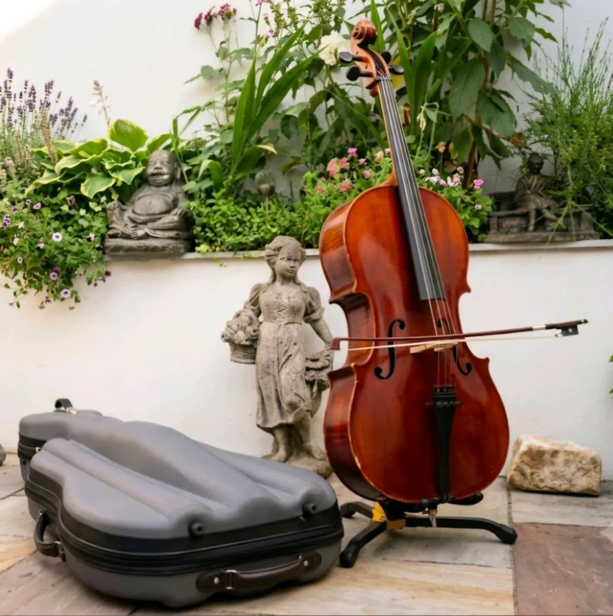 Beautiful Roderich Paesold Cello made in Germany - Image 1
