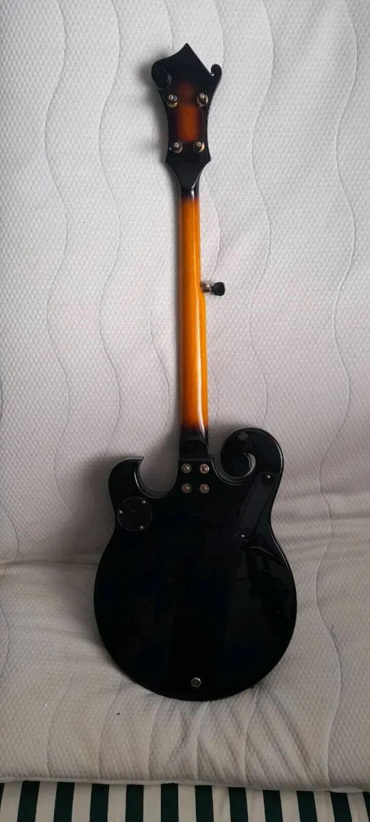Gold Tone banjo - Image 2