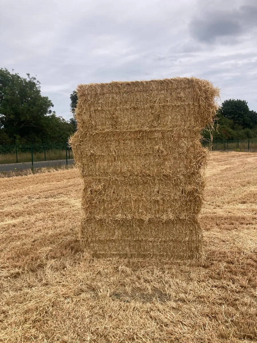 Straw square 8*4*3 - Image 3