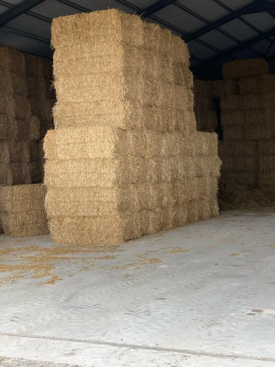 Straw square 8*4*3 - Image 2