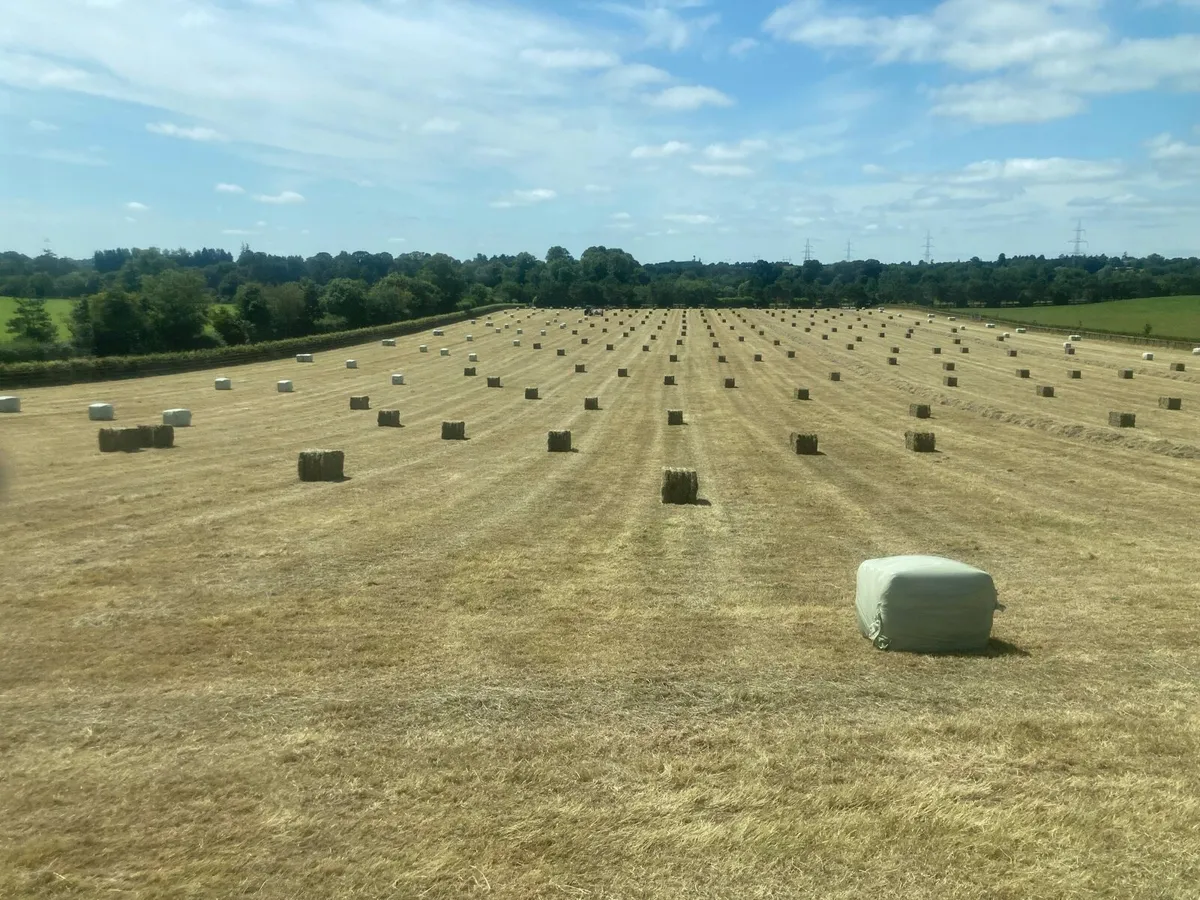 Straw square 8*4*3 - Image 4