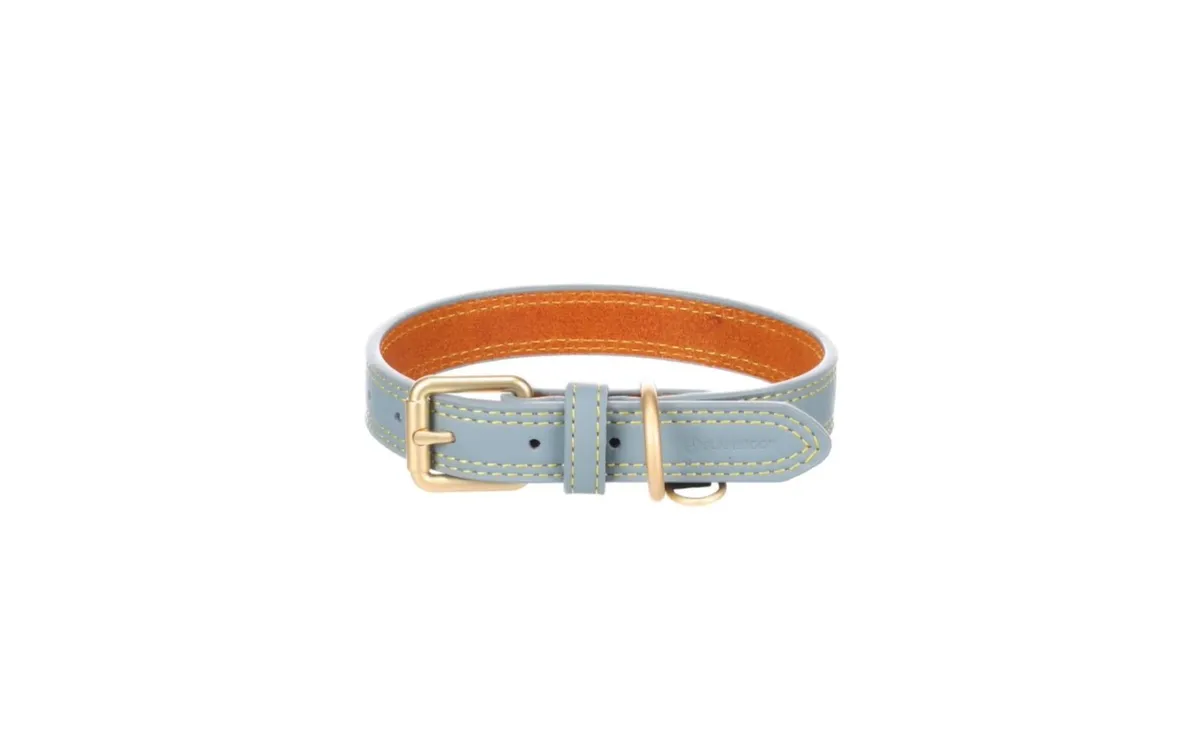 Pet supplies (CLOSING DOWN SALE) - Image 2