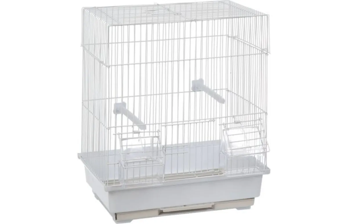 Pet supplies (CLOSING DOWN SALE) - Image 3