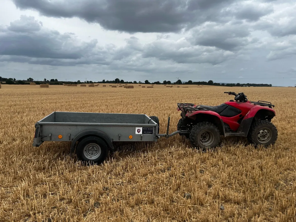 Superb Ifor Williams Multipurpose Trailer - Image 1