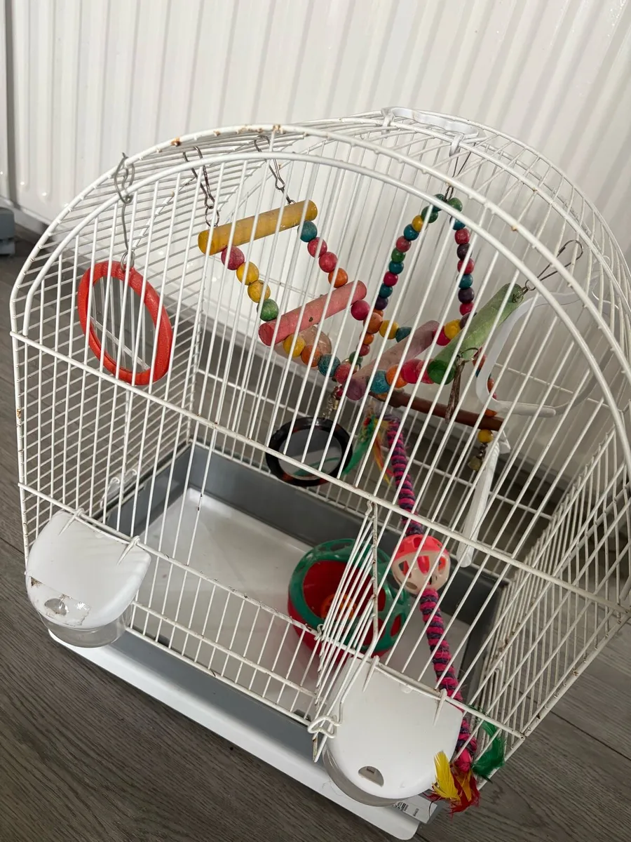 Bird cage - Image 1