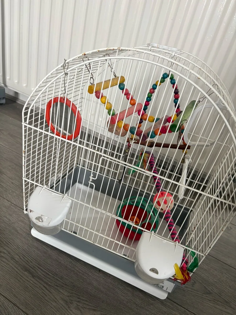 Bird cage - Image 2