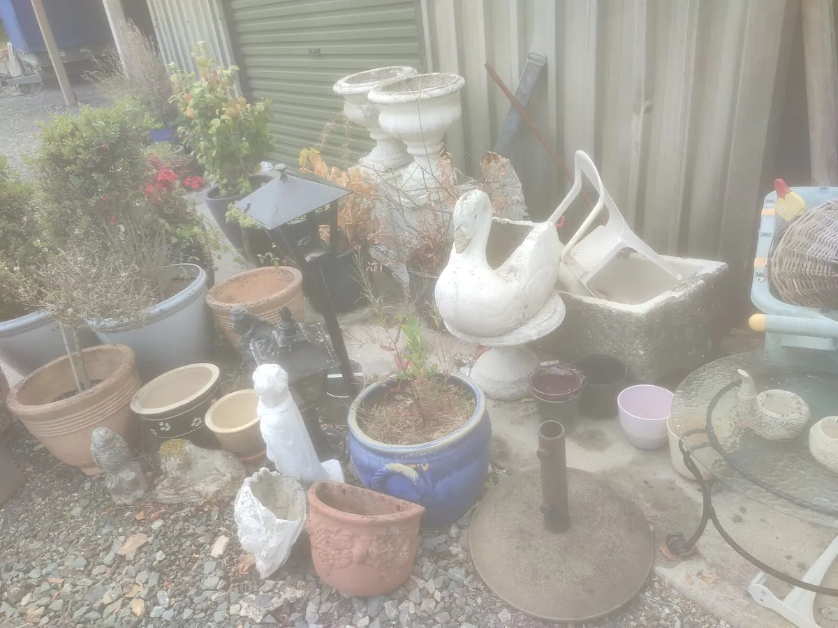 Garden Pots, Plants and ornaments - Image 3