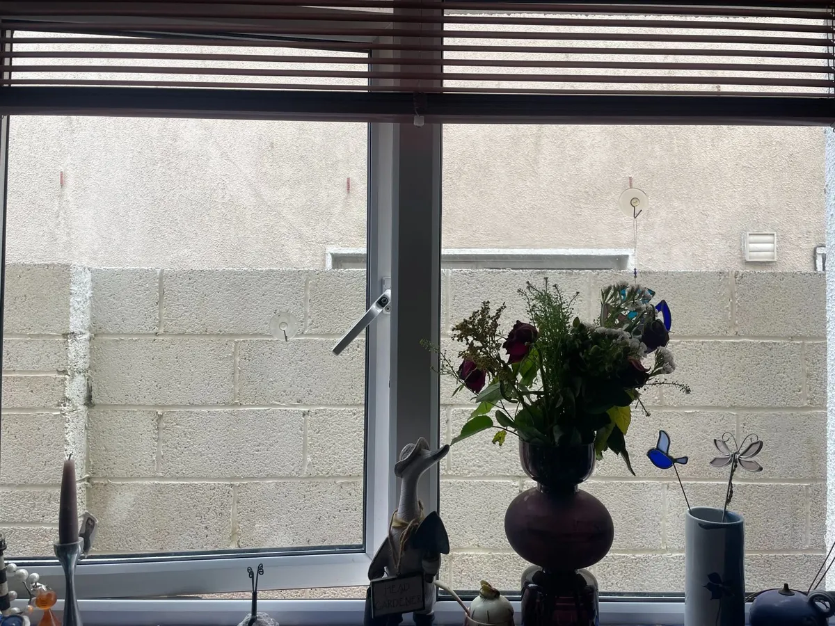 Windows for entire house (due to energy upgrade) - Image 3