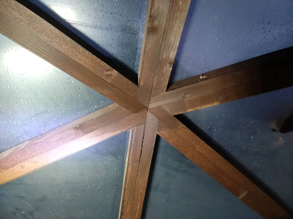 Geodesic dome garden room polytunnel - Image 4