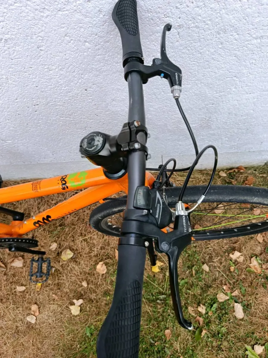 Kids frog bike. Few years old and has some marks c - Image 4