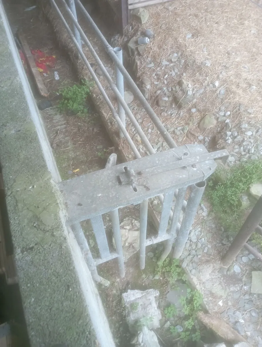 Cattle crush - Image 3