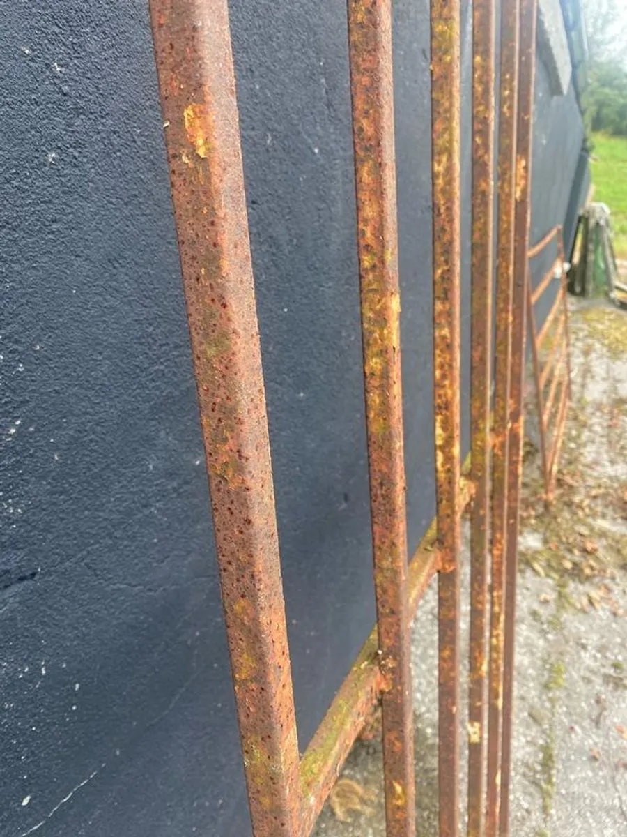 heavy Duty Steel Security Grilles or sheep pen. - Image 4