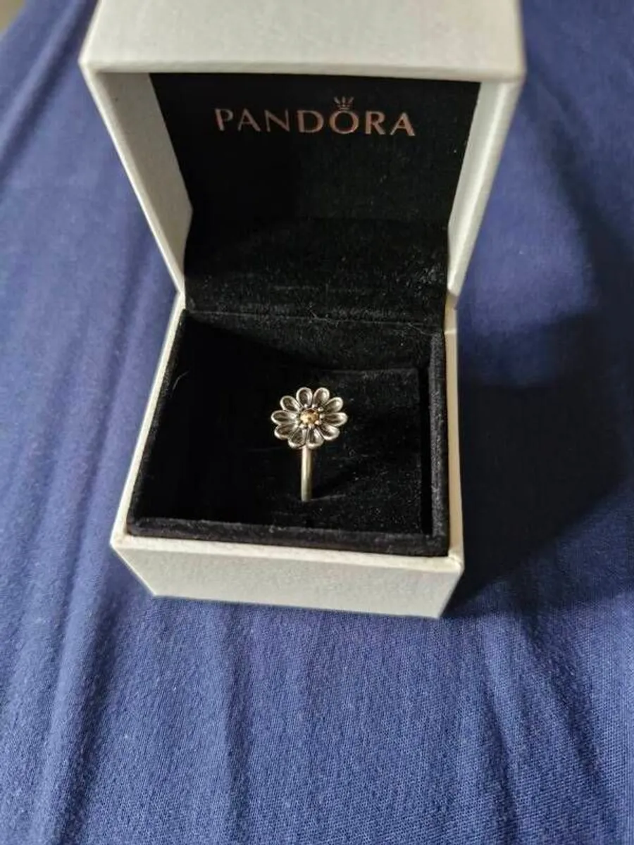 2 Box's / 2 Sets Of Pandora Rings - Image 1