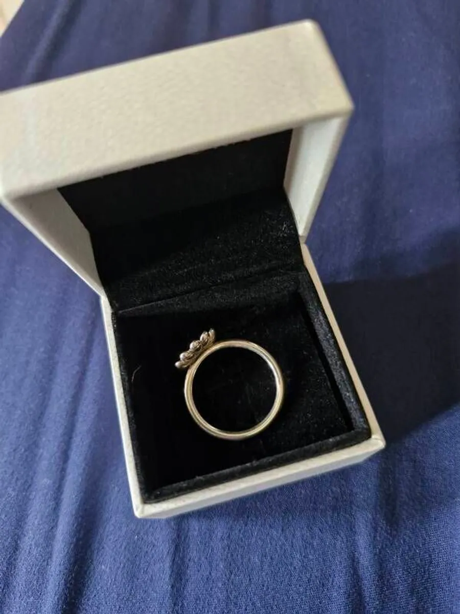 2 Box's / 2 Sets Of Pandora Rings - Image 3