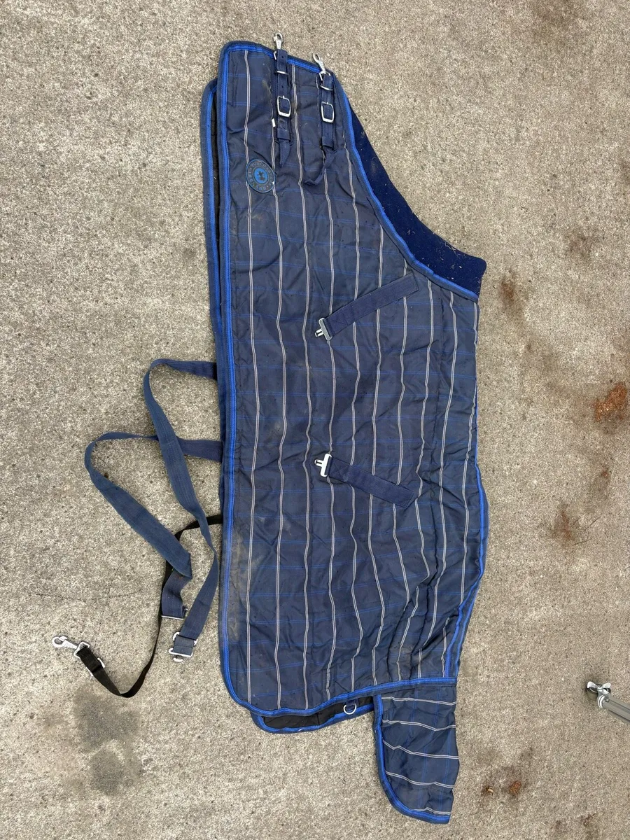 Horse blanket - Image 1