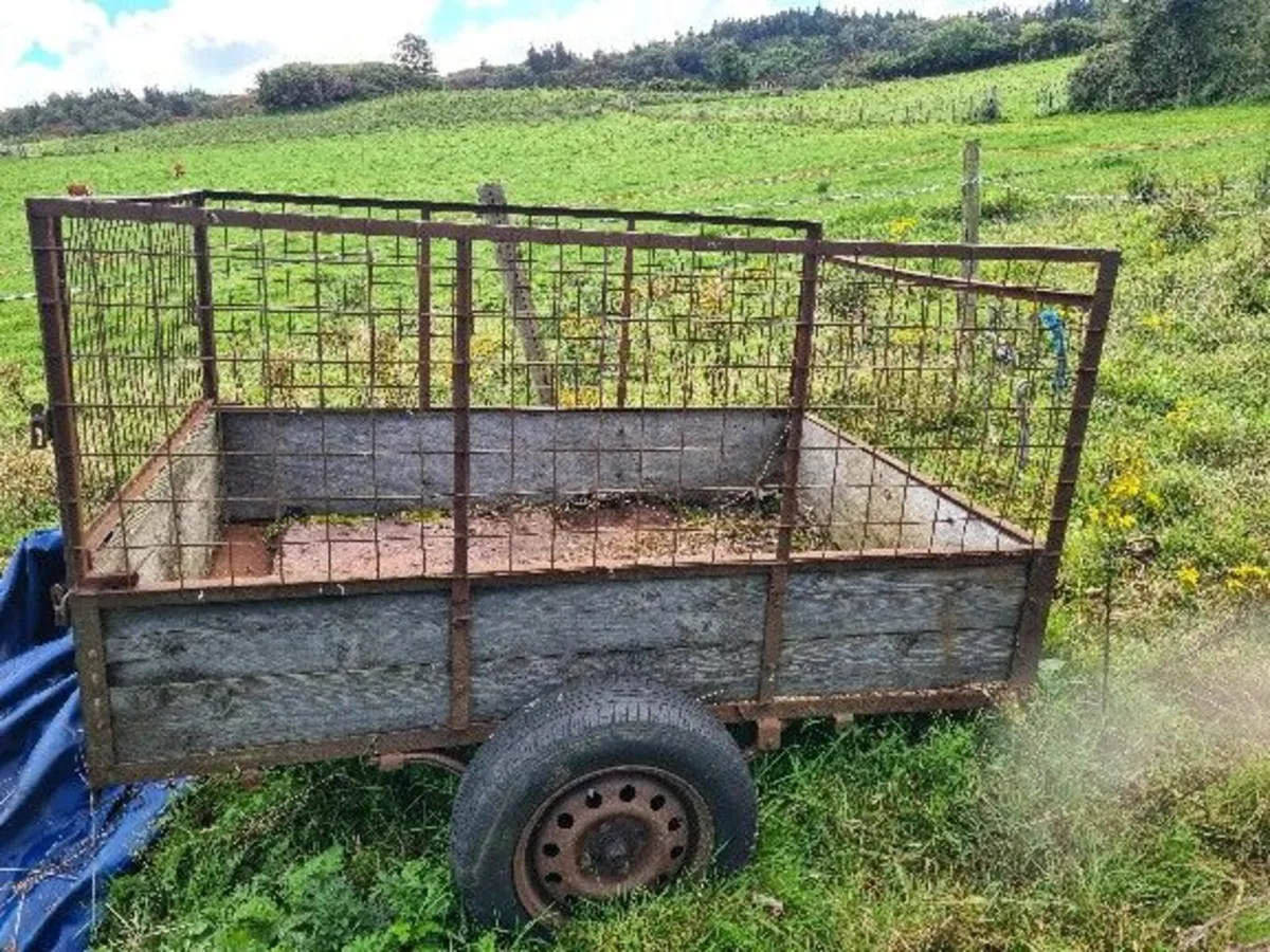 Single Axle trailer with wire mesh sides - Image 1