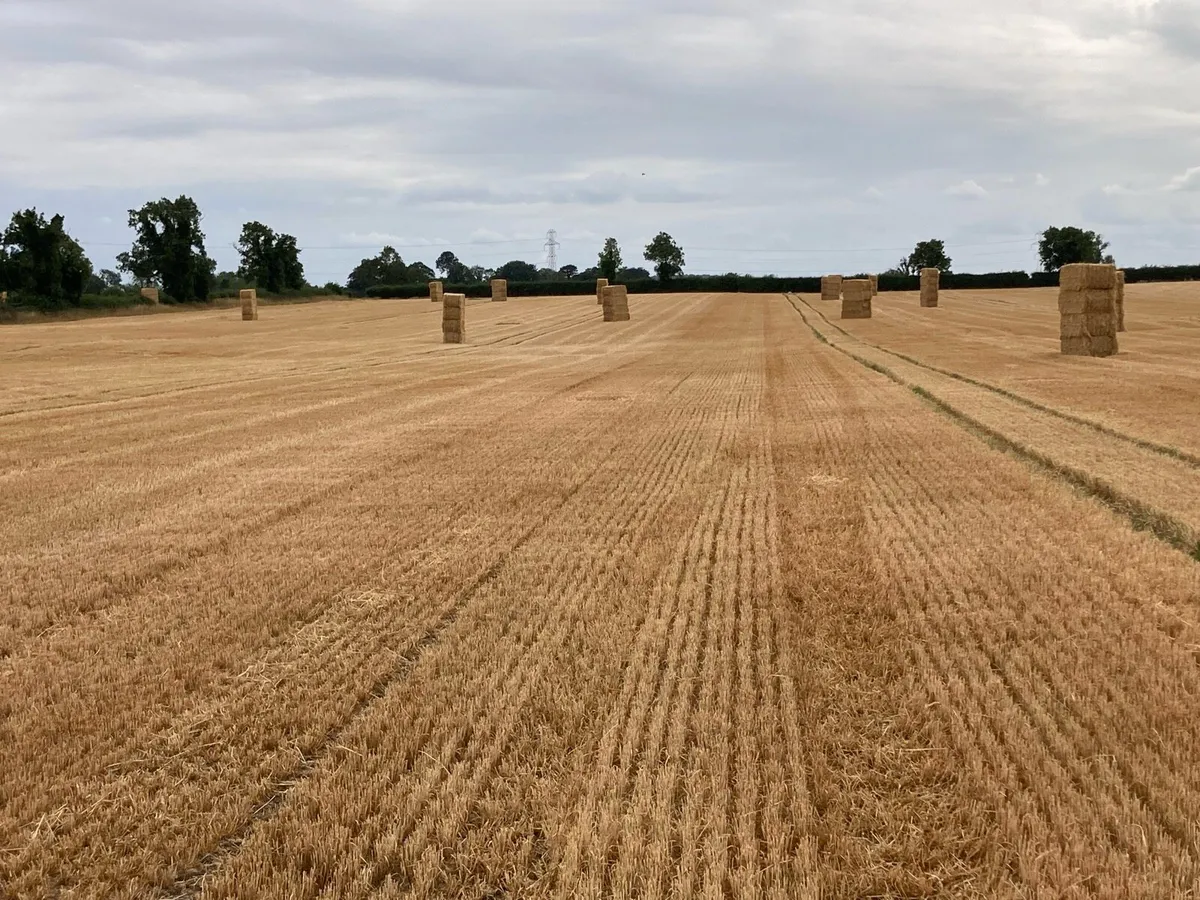Straw square 8*4*3 - Image 1