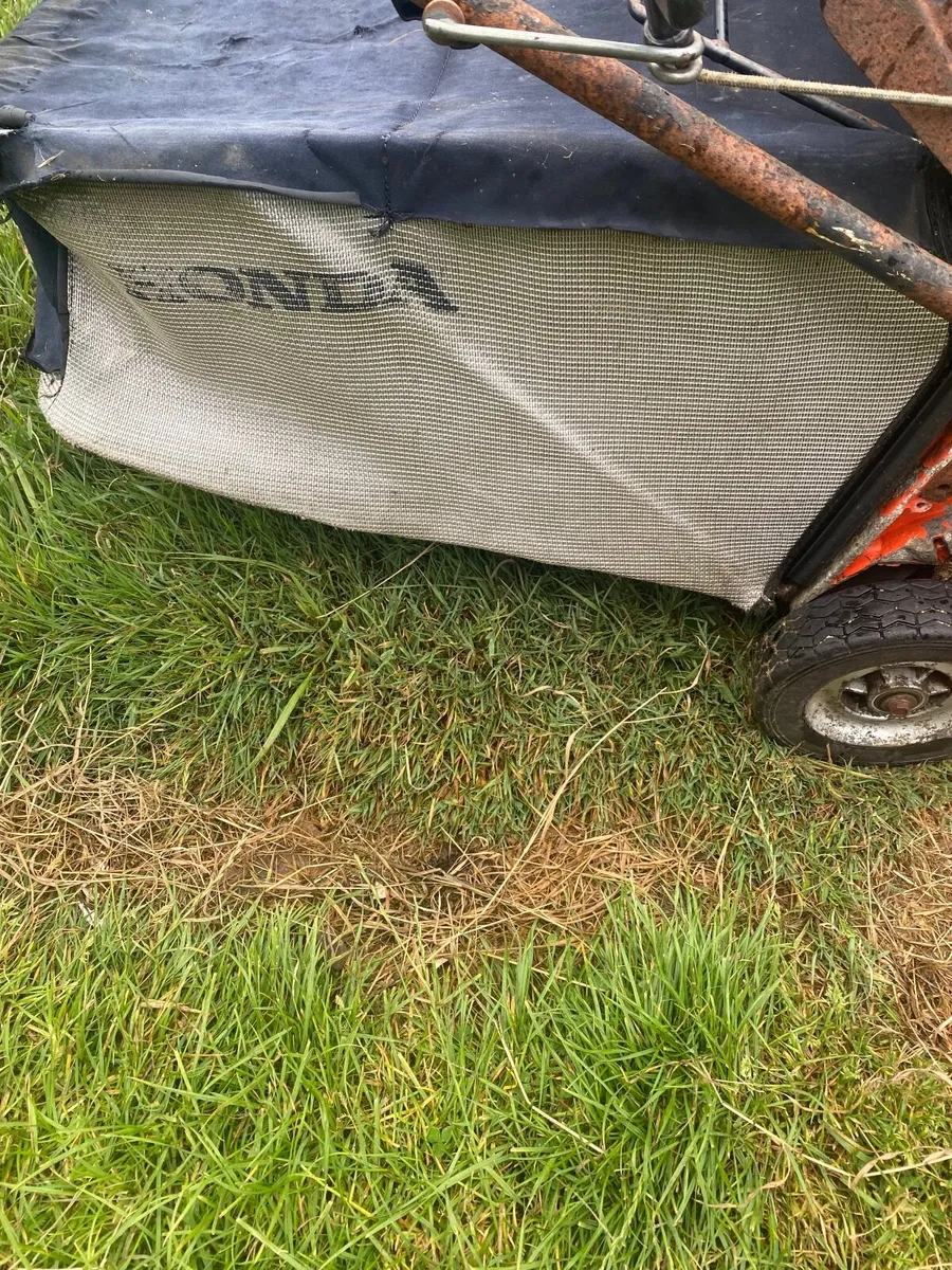 Honda Lawnmower Dormak - Image 3