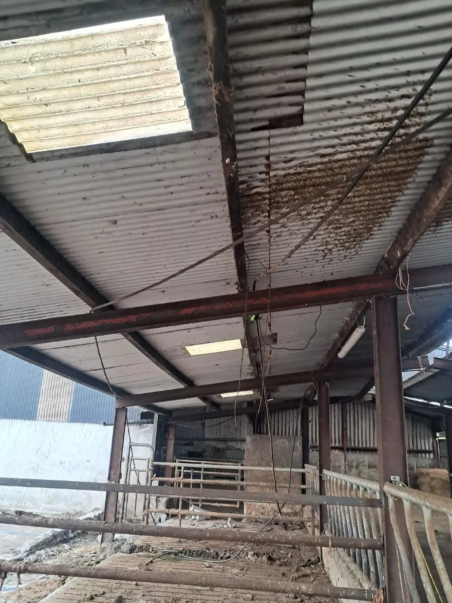 Slatted shed - Image 2