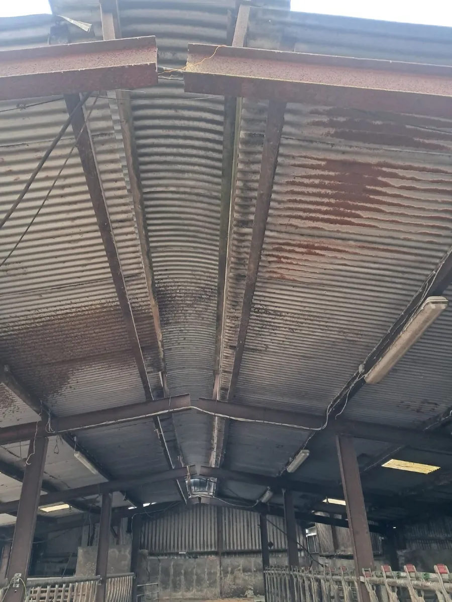 Slatted shed - Image 1