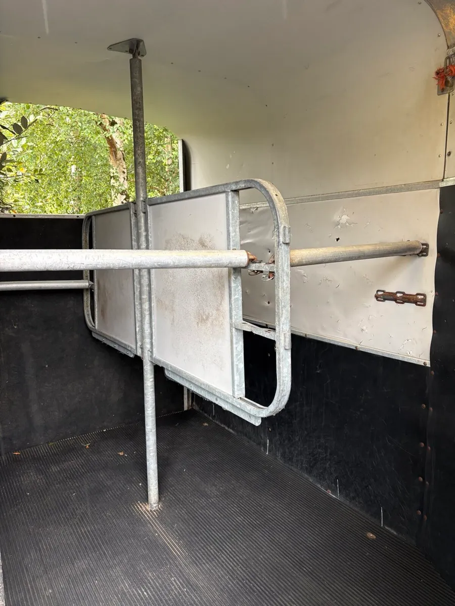 Ifor Williams HB505R Horse Trailer - Image 4